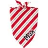 Frisco Peppermint Personalized Dog & Cat Bandana 2 Frisco Peppermint Personalized Dog & Cat Bandana -Chewy 242807 MAIN. AC SS1800 V1600114265