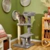 Frisco 41.5-in Real Carpet Wooden Cat Tree 2 Frisco 41.5-in Real Carpet Wooden Cat Tree -Chewy 244527 MAIN. AC SS1800 V1606765034