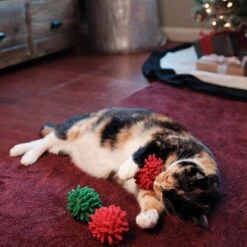 Frisco Holiday Moppy Ball Cat Toy With Catnip, 3 Count 9 Frisco Holiday Moppy Ball Cat Toy With Catnip, 3 Count -Chewy 244935 PT2. AC SS1800 V1602172003