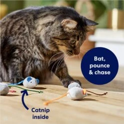 Frisco Mice Plush Cat Toy With Catnip 8 Frisco Mice Plush Cat Toy With Catnip -Chewy 245899 PT2. AC SS1800 V1678723852