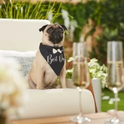 Frisco Wedding Reversible Dog & Cat Bandana 16 Frisco Wedding Reversible Dog & Cat Bandana -Chewy 248712 PT5. AC SS1800 V1632432987