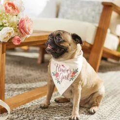 Frisco Wedding Reversible Dog & Cat Bandana 17 Frisco Wedding Reversible Dog & Cat Bandana -Chewy 248712 PT6. AC SS1800 V1632430655