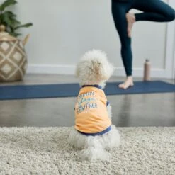 Frisco Mama's Yoga Pawtner Dog & Cat T-Shirt 13 Frisco Mama's Yoga Pawtner Dog & Cat T-Shirt -Chewy 248966 PT7. AC SS1800 V1614201756
