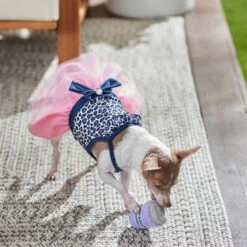 Frisco Leopard Print Dog & Cat Dress 13 Frisco Leopard Print Dog & Cat Dress -Chewy 249051 PT5. AC SS1800 V1644960386