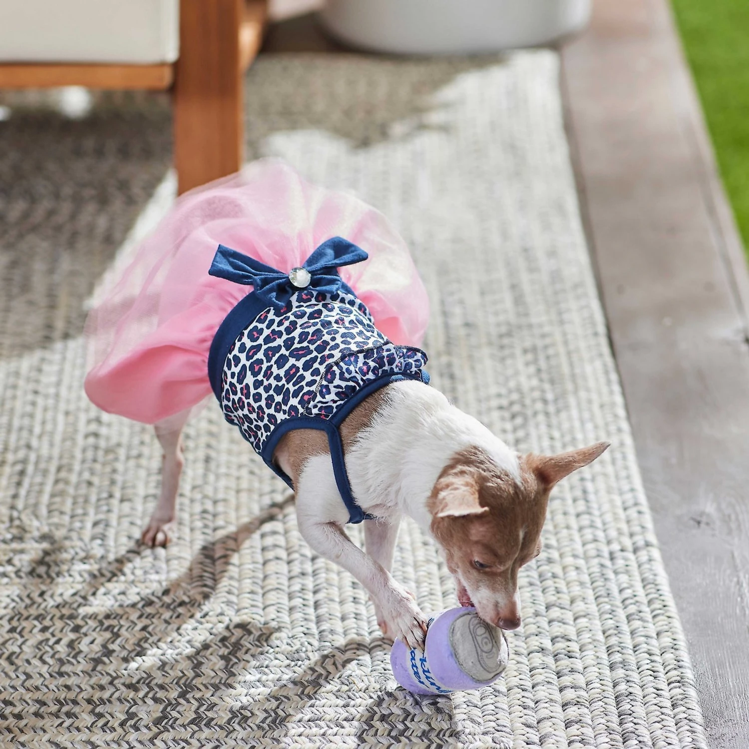 Frisco Leopard Print Dog & Cat Dress 8 Frisco Leopard Print Dog & Cat Dress - Image 6