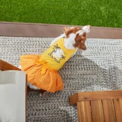 Frisco Fun In The Sun Dog & Cat Dress 12 Frisco Fun In The Sun Dog & Cat Dress -Chewy 249058 PT4. AC SS1800 V1637668124