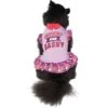 Frisco Cute & Sassy Dog & Cat Dress 1 Frisco Cute & Sassy Dog & Cat Dress -Chewy 249073 MAIN. AC SS1800 V1644452847
