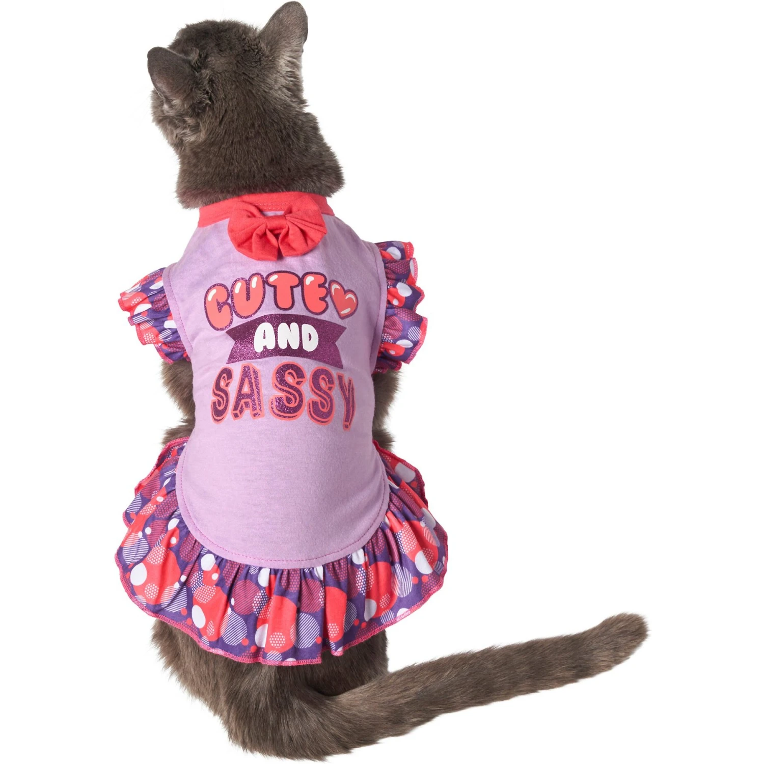 Frisco Cute & Sassy Dog & Cat Dress 5 Frisco Cute & Sassy Dog & Cat Dress - Image 3