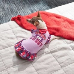 Frisco Cute & Sassy Dog & Cat Dress 14 Frisco Cute & Sassy Dog & Cat Dress -Chewy 249073 PT5. AC SS1800 V1644960392