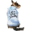 Frisco Life Is Wag Worthy Tiedye Print Dog & Cat Hoodie 1 Frisco Life Is Wag Worthy Tiedye Print Dog & Cat Hoodie -Chewy 249094 MAIN. AC SS1800 V1614362076