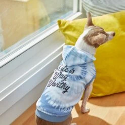 Frisco Life Is Wag Worthy Tiedye Print Dog & Cat Hoodie 15 Frisco Life Is Wag Worthy Tiedye Print Dog & Cat Hoodie -Chewy 249094 PT7. AC SS1800 V1614362017