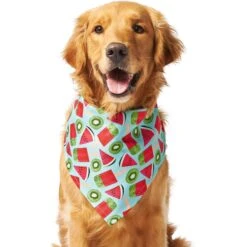 Frisco Fruity Summer Dog & Cat Bandana 11 Frisco Fruity Summer Dog & Cat Bandana -Chewy 249204 PT2. AC SS1800 V1637644629