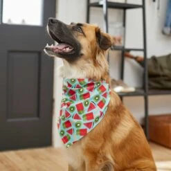 Frisco Fruity Summer Dog & Cat Bandana 13 Frisco Fruity Summer Dog & Cat Bandana -Chewy 249204 PT4. AC SS1800 V1637668676