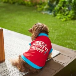 Frisco Red, White & Boop Dog & Cat T-Shirt 14 Frisco Red, White & Boop Dog & Cat T-Shirt -Chewy 249242 PT5. AC SS1800 V1624616560