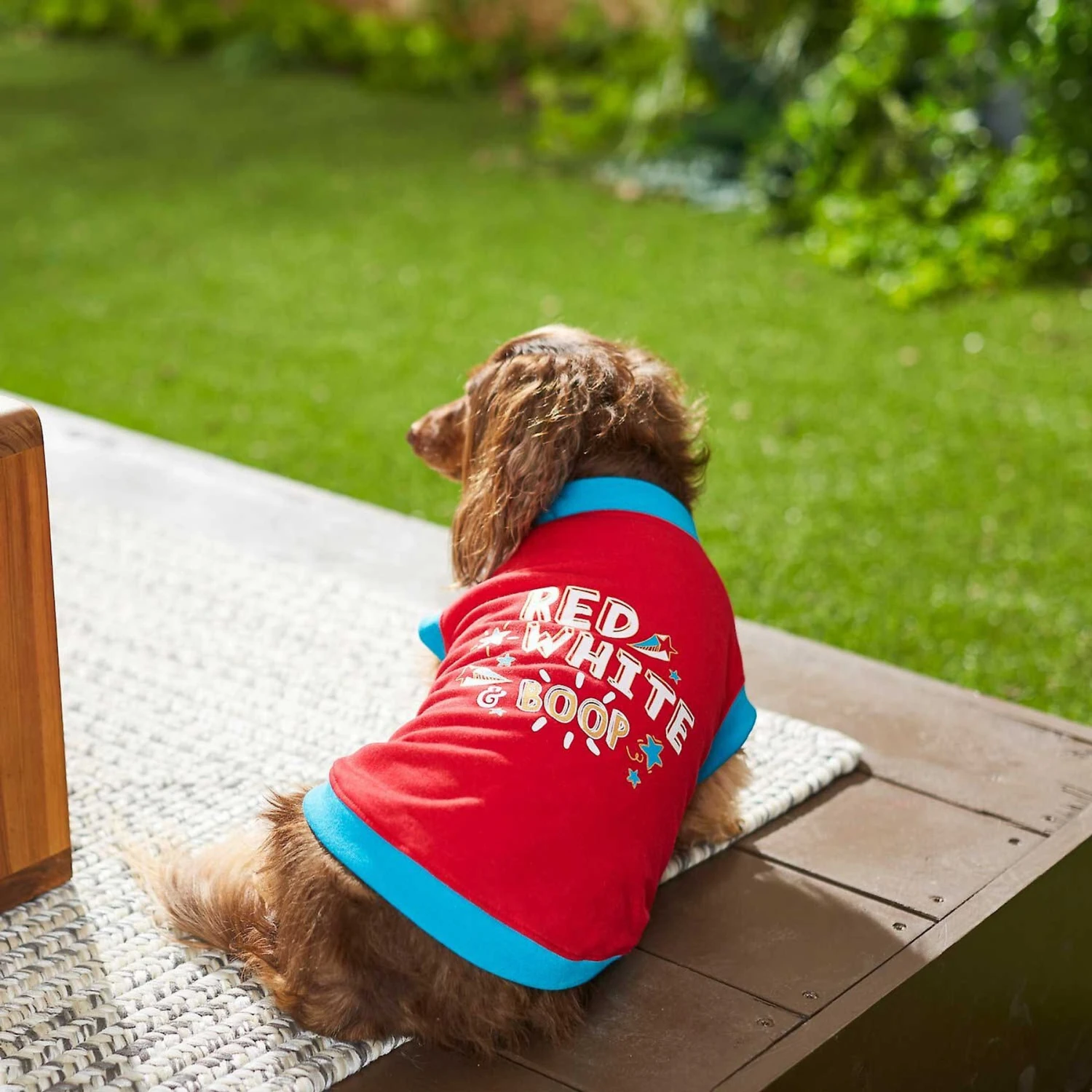 Frisco Red, White & Boop Dog & Cat T-Shirt 8 Frisco Red, White & Boop Dog & Cat T-Shirt - Image 6