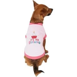 Frisco It's My Birthday Dog & Cat T-Shirt, Pink 9 Frisco It's My Birthday Dog & Cat T-Shirt, Pink -Chewy 249255 PT2. AC SS1800 V1624608150