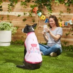 Frisco It's My Birthday Dog & Cat T-Shirt, Pink 11 Frisco It's My Birthday Dog & Cat T-Shirt, Pink -Chewy 249255 PT7. AC SS1800 V1614289423