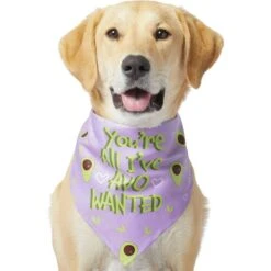 Frisco You're All I've Avo Wanted Dog & Cat Bandana -Chewy 249292 PT2. AC SS1800 V1637723806