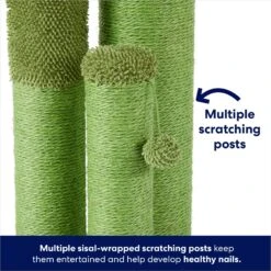 Frisco Cactus Cat Scratching Post 9 Frisco Cactus Cat Scratching Post -Chewy 252548 PT2. AC SS1800 V1667229384