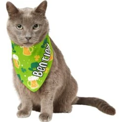 Frisco Green Ale Personalized Dog & Cat Bandana 18 Frisco Green Ale Personalized Dog & Cat Bandana -Chewy 254207 PT7. AC SS1800 V1618510956
