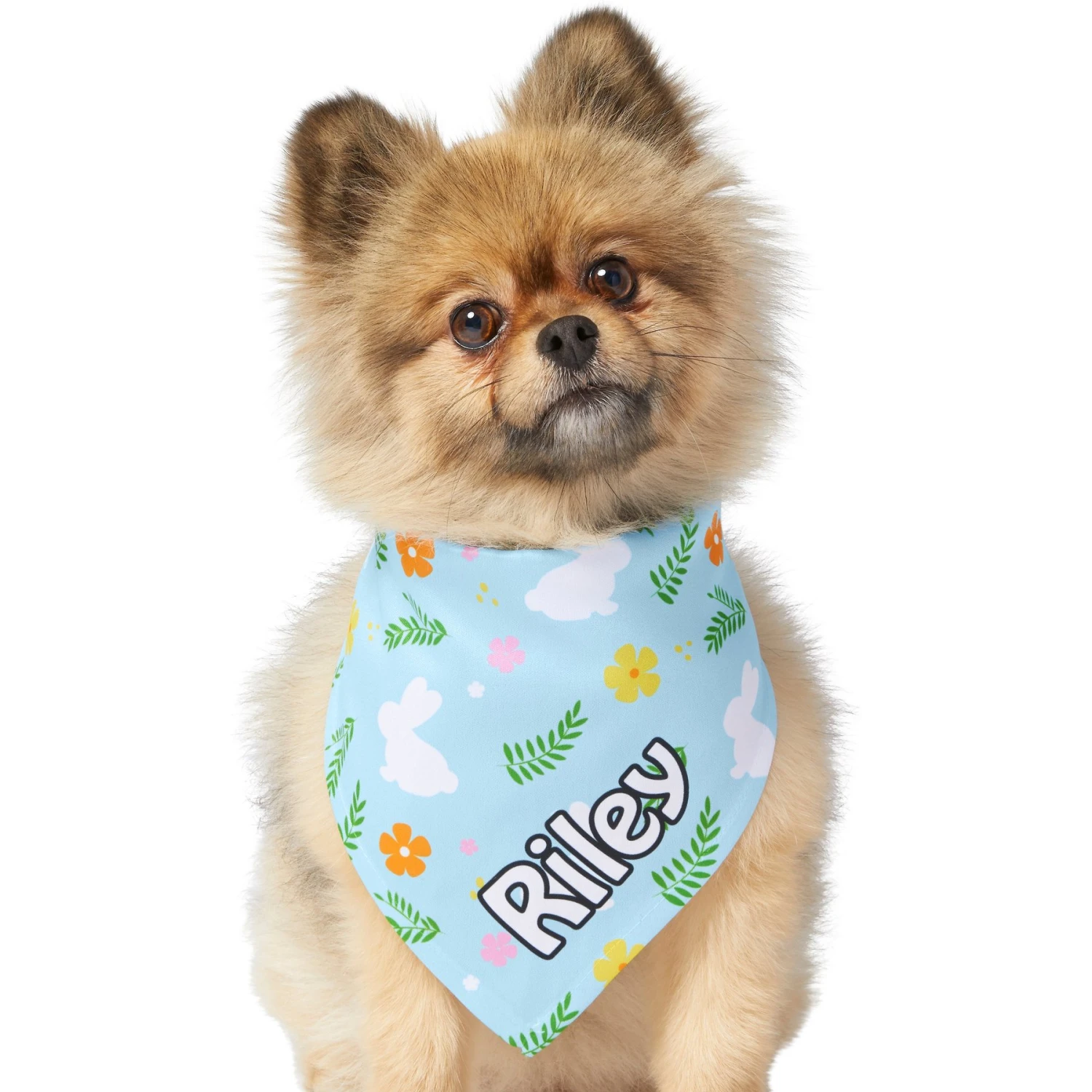 Frisco Easter Bunny Personalized Dog & Cat Bandana 9 Frisco Easter Bunny Personalized Dog & Cat Bandana - Image 7
