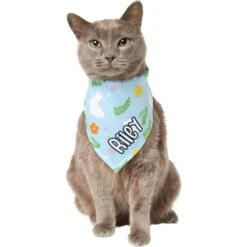 Frisco Easter Bunny Personalized Dog & Cat Bandana 18 Frisco Easter Bunny Personalized Dog & Cat Bandana -Chewy 254211 PT7. AC SS1800 V1618510982