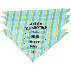 Frisco Big Brother Personalized Dog & Cat Bandana -Chewy 254231 PT4. AC SS1800 V1633065997