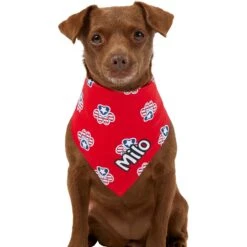 Frisco Patriotic Paws Personalized Dog & Cat Bandana 17 Frisco Patriotic Paws Personalized Dog & Cat Bandana -Chewy 254243 PT6. AC SS1800 V1619557657