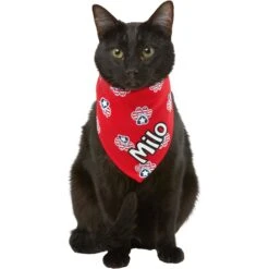 Frisco Patriotic Paws Personalized Dog & Cat Bandana 18 Frisco Patriotic Paws Personalized Dog & Cat Bandana -Chewy 254243 PT7. AC SS1800 V1619559130