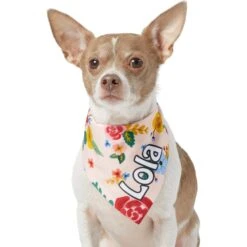 Frisco Floral Personalized Dog & Cat Bandana 17 Frisco Floral Personalized Dog & Cat Bandana -Chewy 254255 PT6. AC SS1800 V1618507356