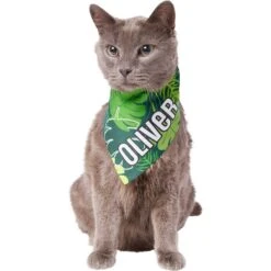 Frisco Tropical Palms Personalized Dog & Cat Bandana 18 Frisco Tropical Palms Personalized Dog & Cat Bandana -Chewy 254259 PT7. AC SS1800 V1632418584
