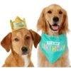 Frisco Happy Birthday Dog & Cat Crown & Frisco Dog & Cat Birthday Bandana 1 Frisco Happy Birthday Dog & Cat Crown & Frisco Dog & Cat Birthday Bandana -Chewy 255523 MAIN. AC SS1800 V1603716093