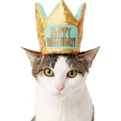 Frisco Happy Birthday Dog & Cat Crown & Frisco Dog & Cat Birthday Bandana 9 Frisco Happy Birthday Dog & Cat Crown & Frisco Dog & Cat Birthday Bandana -Chewy 255523 PT2. AC SS1800 V1603716120