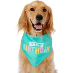 Frisco Happy Birthday Dog & Cat Crown & Frisco Dog & Cat Birthday Bandana 10 Frisco Happy Birthday Dog & Cat Crown & Frisco Dog & Cat Birthday Bandana -Chewy 255523 PT3. AC SS1800 V1603716114