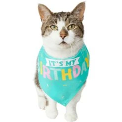 Frisco Happy Birthday Dog & Cat Crown & Frisco Dog & Cat Birthday Bandana 11 Frisco Happy Birthday Dog & Cat Crown & Frisco Dog & Cat Birthday Bandana -Chewy 255523 PT4. AC SS1800 V1603716120