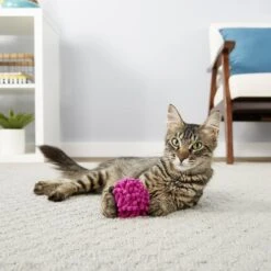 Frisco Moppy Ball Cat Toy With Catnip & Frisco Moppy Ball Cat Toy With Catnip 11 Frisco Moppy Ball Cat Toy With Catnip & Frisco Moppy Ball Cat Toy With Catnip -Chewy 255585 PT4. AC SS1800 V1602691598