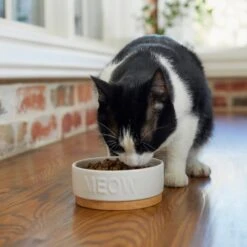 Frisco Round Meow Non-skid Ceramic Cat Bowl With Wood Base 10 Frisco Round Meow Non-skid Ceramic Cat Bowl With Wood Base -Chewy 256078 PT2. AC SS1800 V1615313612