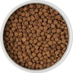 Frisco Round Meow Non-skid Ceramic Cat Bowl With Wood Base 13 Frisco Round Meow Non-skid Ceramic Cat Bowl With Wood Base -Chewy 256078 PT5. AC SS1800 V1615312018