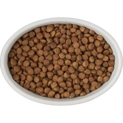 Frisco Oval Meow Non-skid Ceramic Cat Bowl With Wood Base 13 Frisco Oval Meow Non-skid Ceramic Cat Bowl With Wood Base -Chewy 256080 PT5. AC SS1800 V1615312016