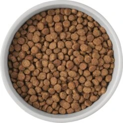 Frisco Cat Print Non-Skid Elevated Ceramic Cat Bowl, Tall 12 Frisco Cat Print Non-Skid Elevated Ceramic Cat Bowl, Tall -Chewy 256099 PT4. AC SS1800 V1616522538