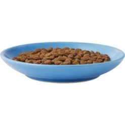 Frisco Cat Face Non-skid Ceramic Cat Dish, Blue 12 Frisco Cat Face Non-skid Ceramic Cat Dish, Blue -Chewy 256101 PT4. AC SS1800 V1617130592
