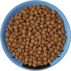 Frisco Cat Face Non-skid Ceramic Cat Dish, Blue 13 Frisco Cat Face Non-skid Ceramic Cat Dish, Blue -Chewy 256101 PT5. AC SS1800 V1615321282