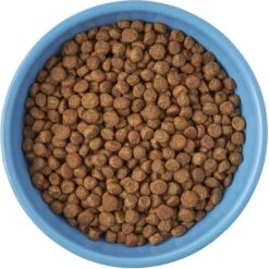 Frisco Cat Face Non-skid Ceramic Cat Bowl, Blue 8 Frisco Cat Face Non-skid Ceramic Cat Bowl, Blue -Chewy 256103 PT5. AC SS1800 V1615312900