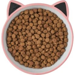 Frisco Cat Face Non-skid Ceramic Cat Bowl, Pink 11 Frisco Cat Face Non-skid Ceramic Cat Bowl, Pink -Chewy 256107 PT5. AC SS1800 V1616522494