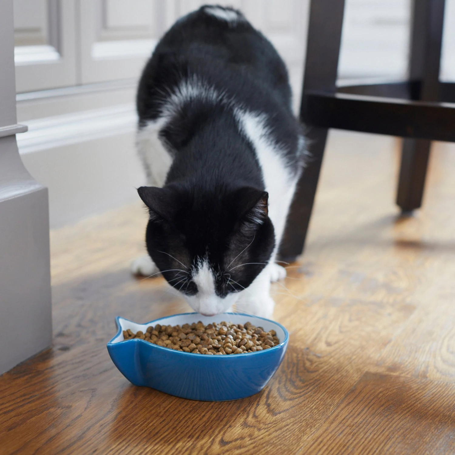 Frisco Fish Shaped Non-skid Ceramic Cat Bowl 8 Frisco Fish Shaped Non-skid Ceramic Cat Bowl - Image 6