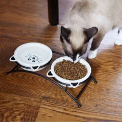 Frisco Cat Face Non-skid Elevated Double Ceramic Cat Bowl 10 Frisco Cat Face Non-skid Elevated Double Ceramic Cat Bowl -Chewy 256113 PT2. AC SS1800 V1616522604