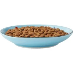 Frisco New York Non-skid Ceramic Cat Dish 14 Frisco New York Non-skid Ceramic Cat Dish -Chewy 256119 PT5. AC SS1800 V1618494742