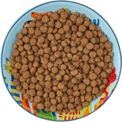 Frisco New York Non-skid Ceramic Cat Dish 15 Frisco New York Non-skid Ceramic Cat Dish -Chewy 256119 PT6. AC SS1800 V1617196905