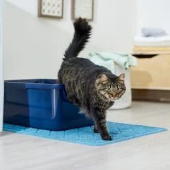 Frisco Quilted Cat Litter Mat 10 Frisco Quilted Cat Litter Mat -Chewy 258210 PT3. AC SS1800 V1675279933