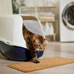 Frisco Sisal Mat 10 Frisco Sisal Mat -Chewy 259250 PT3. AC SS1800 V1675279993